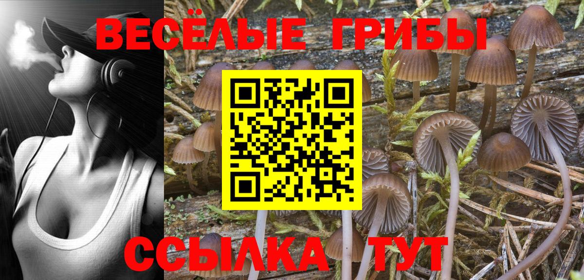 Псилоцибиновые грибы мухоморы  Вход с VPN  Каменск-Уральский 
