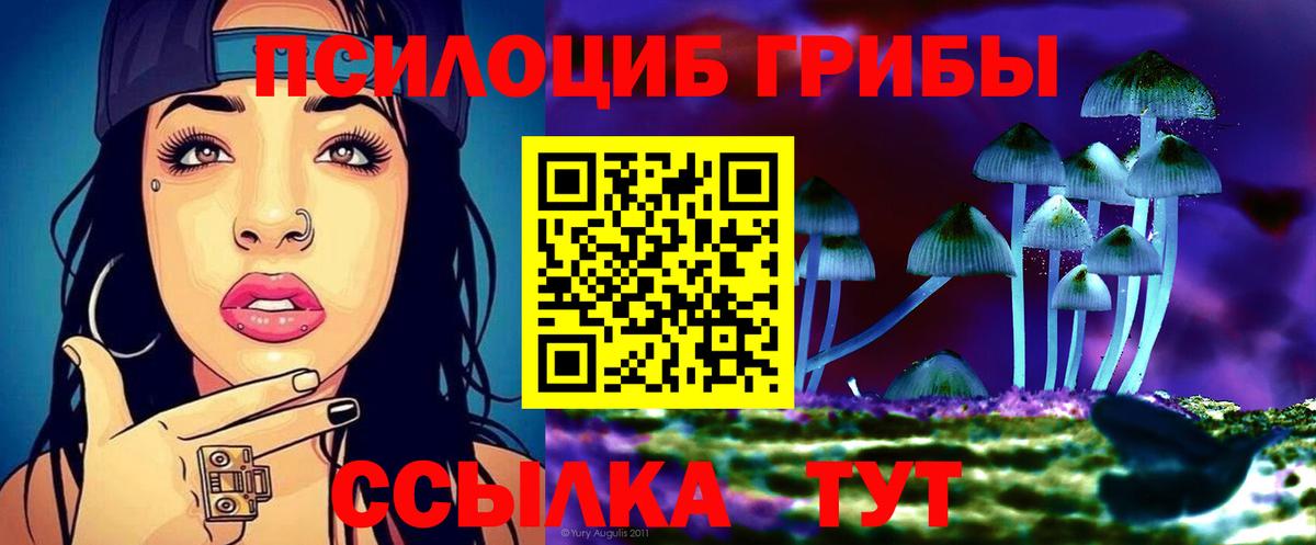 Псилоцибиновые грибы GOLDEN TEACHER Каменск-Уральский